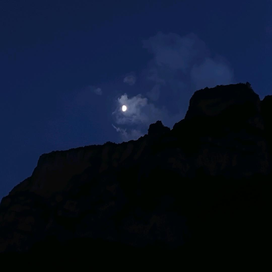 愿逐月华流照君