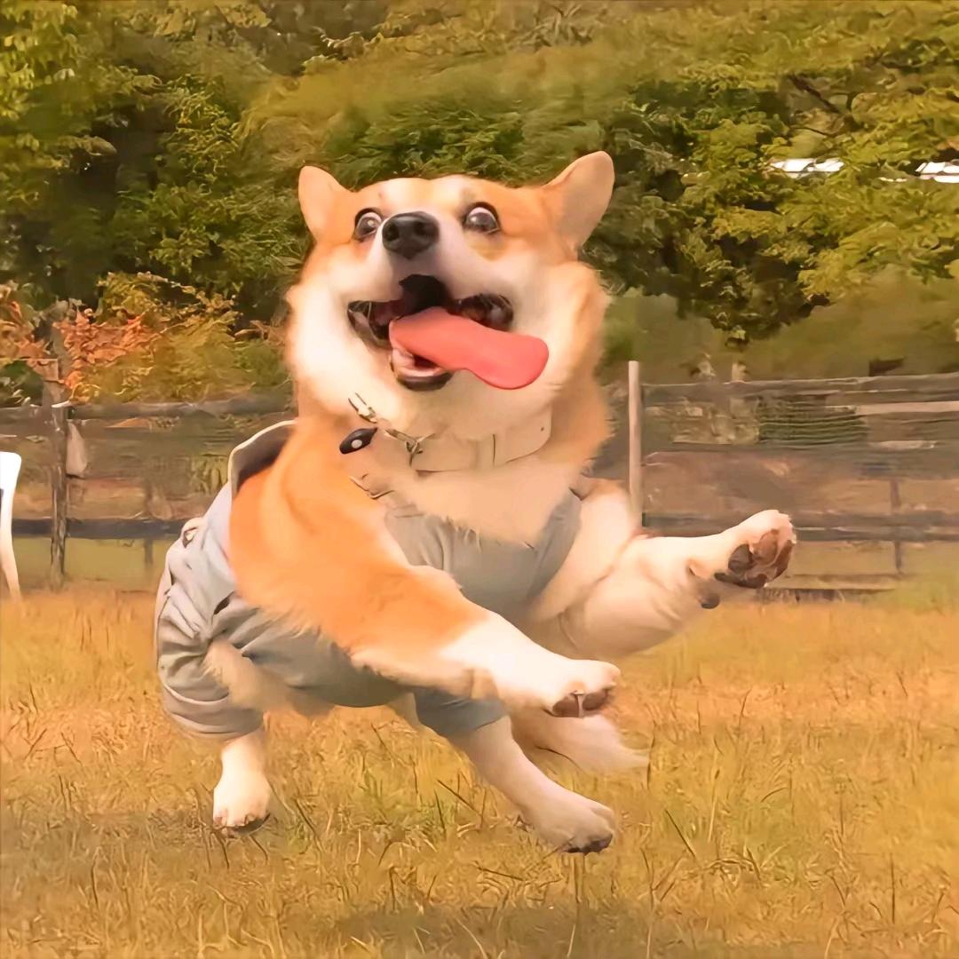 喝可乐儿