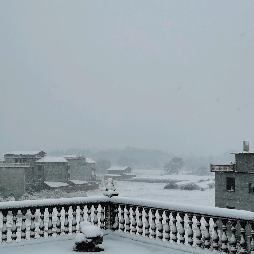 在清晨的第一缕阳光下