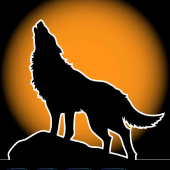 魔狼，拒绝私聊