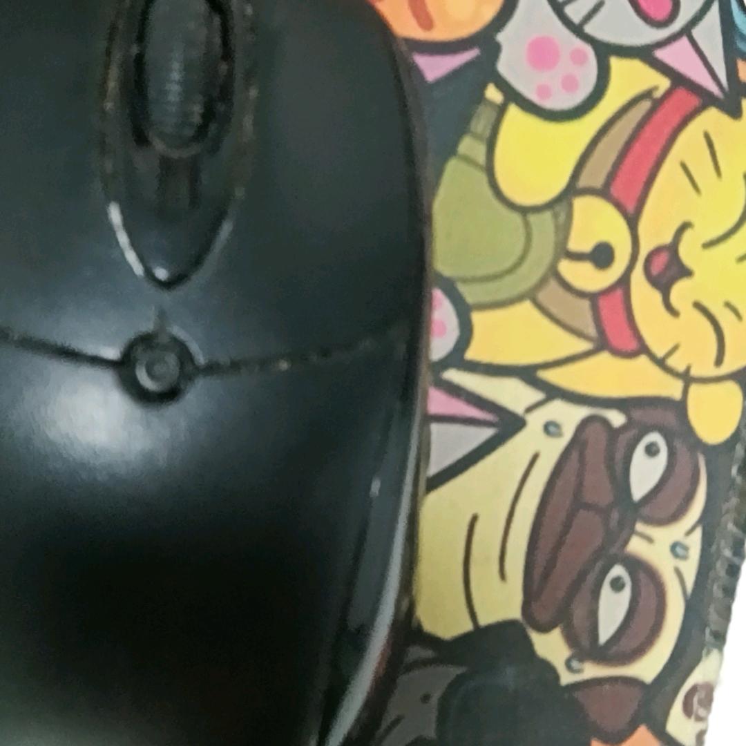 小罗小勇好物号