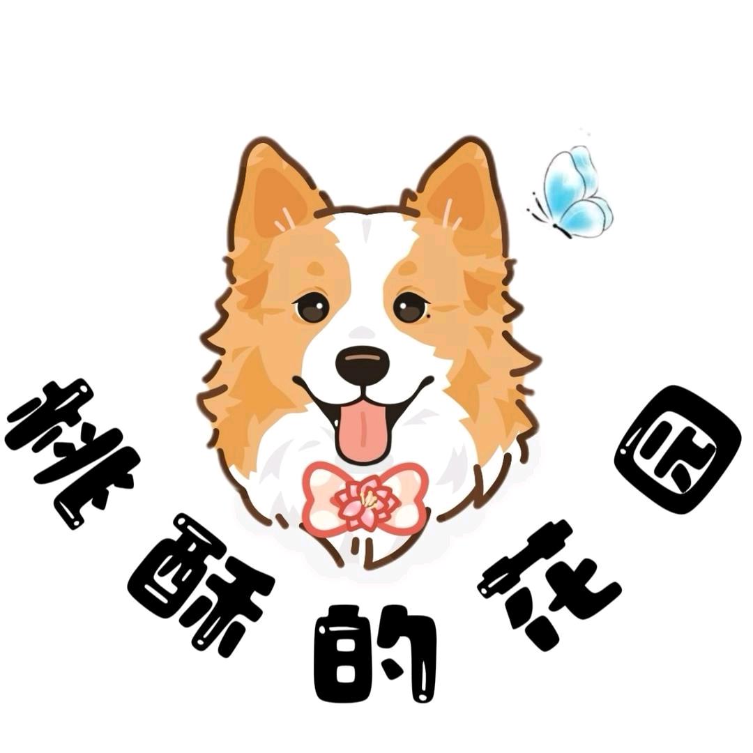 桃酥的花园朱顶红