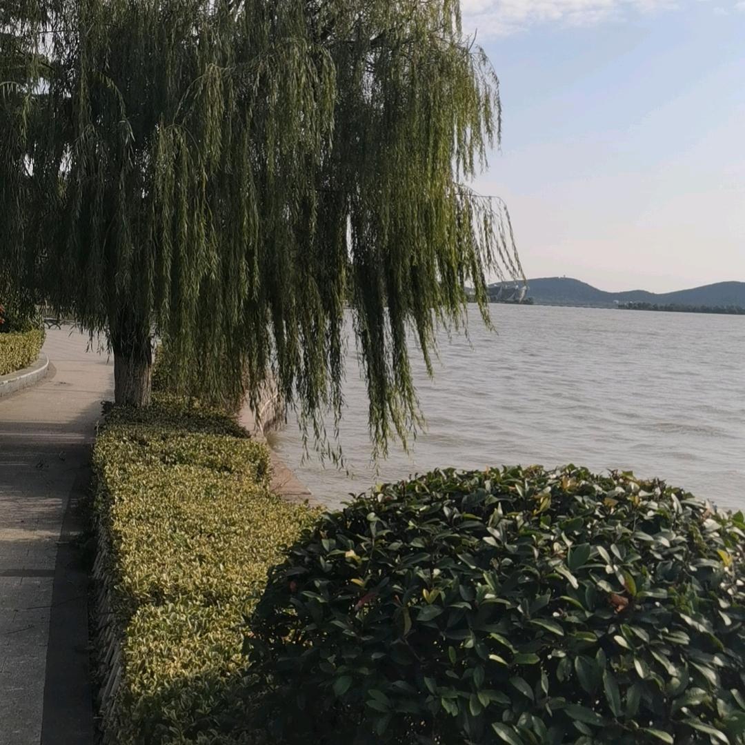 上善若水