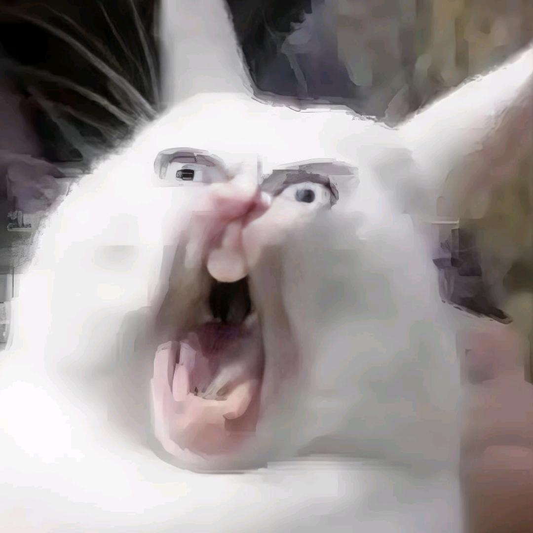 麻迷子