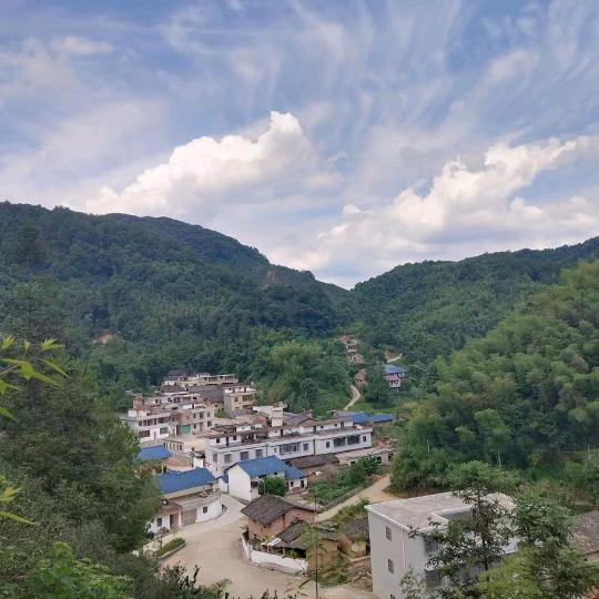 钟情于你