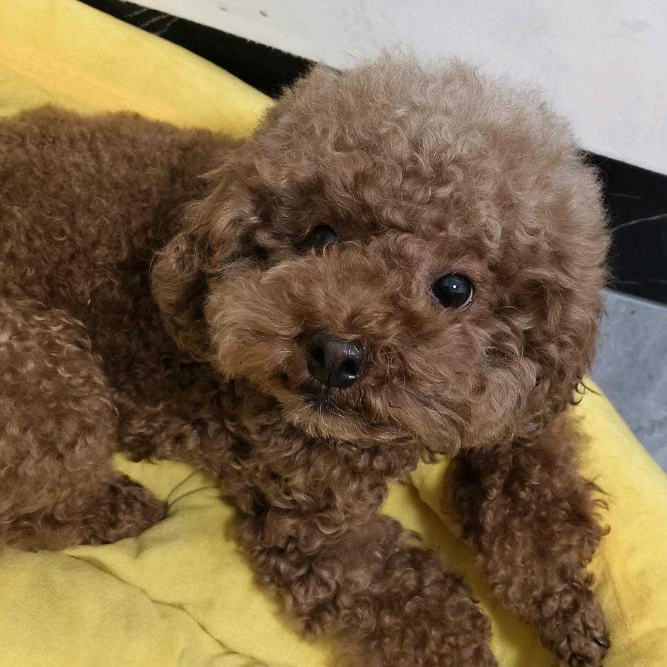 小樊不烦