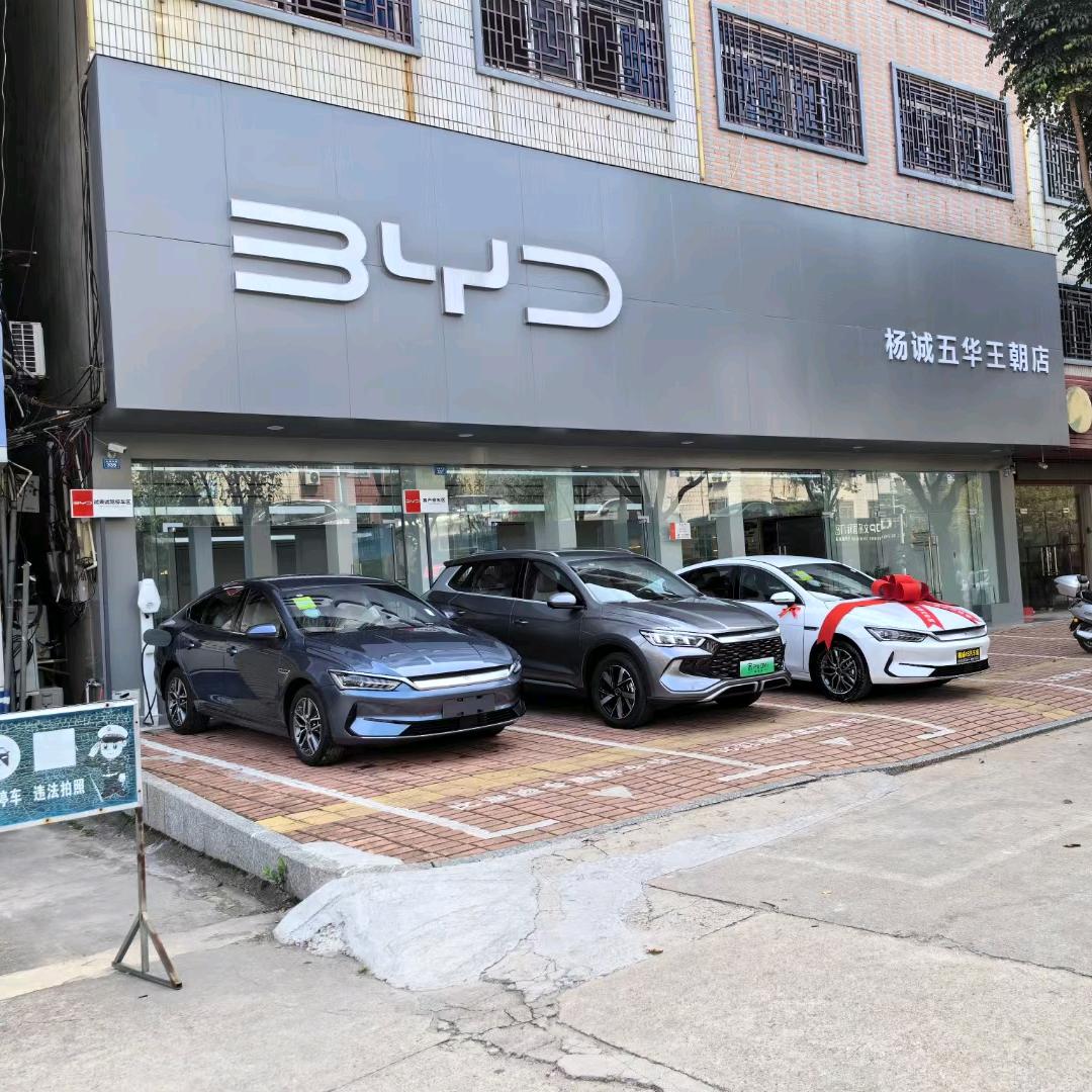 杨宝