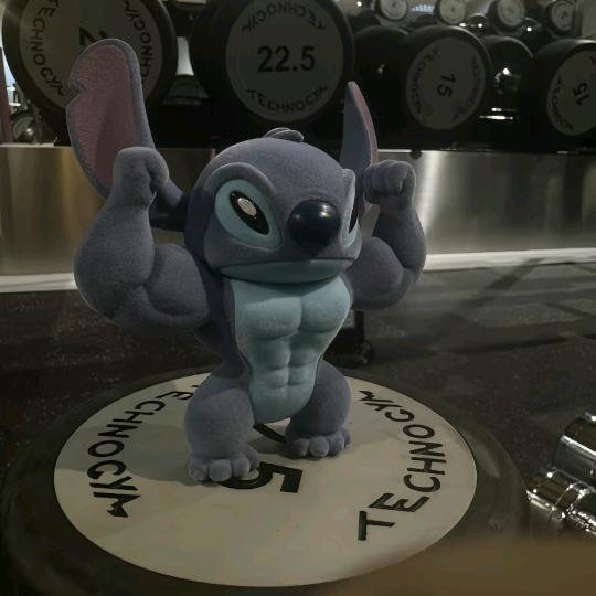 风遇狂野   健身达人