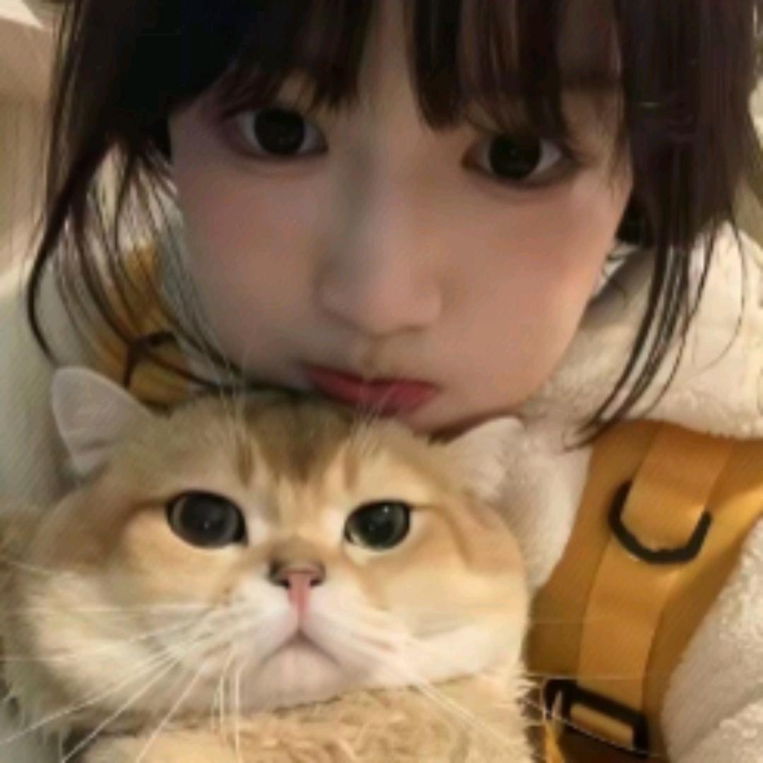 卓贝 ૮₍♡♡₎ა