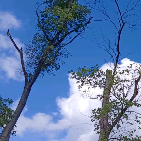 海阔天空