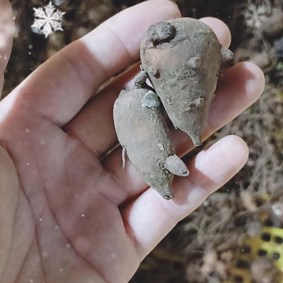 阿龙土特产小铺