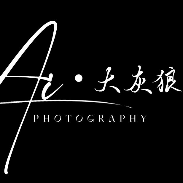 ai摄影·大灰狼