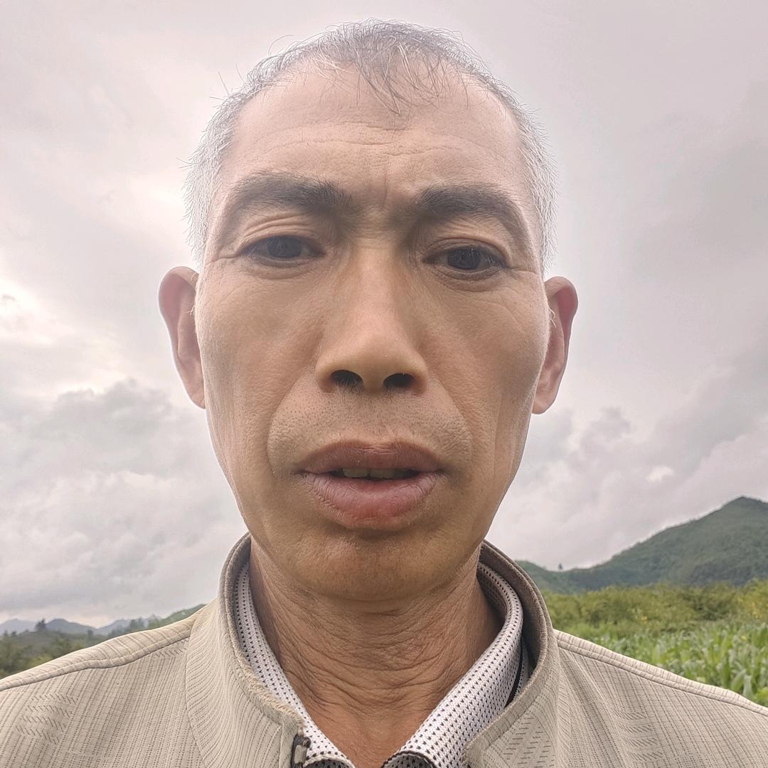 随梦而飞