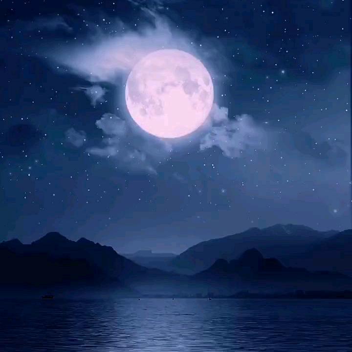 ღ᭄💞一切꧔ꦿ᭄ 随缘ღ᭄ 💕