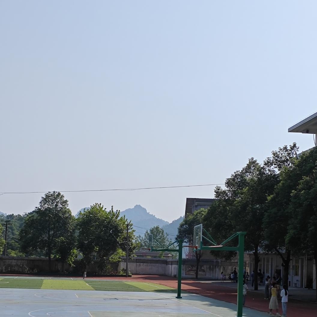 俊俏的橙子🍊（初中数学在职）