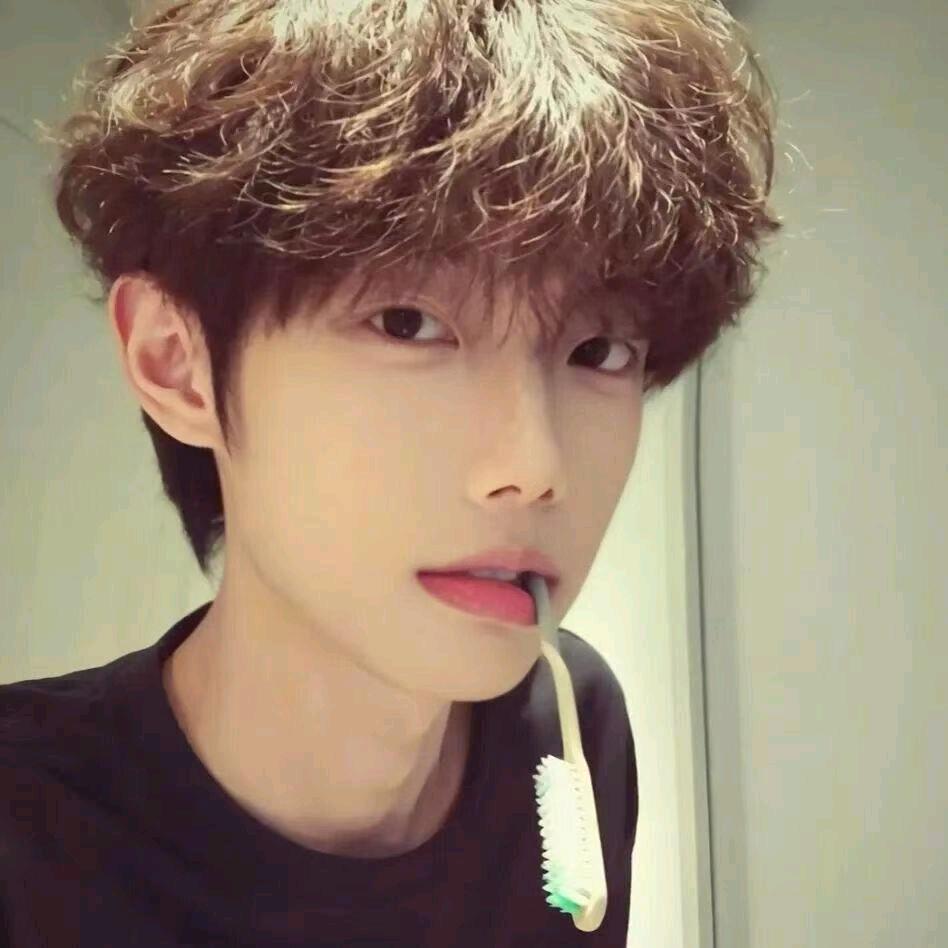 小Yang又困ˡᵃ💤