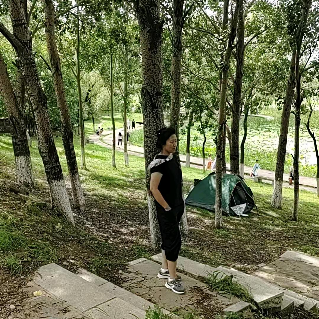 @枫