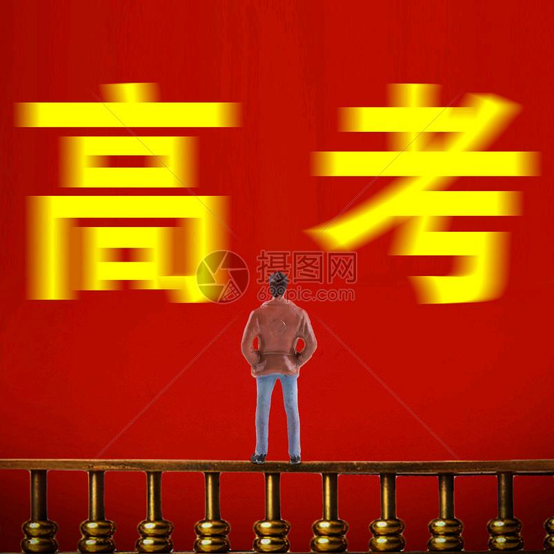 高考志愿填报张老师（磊子）