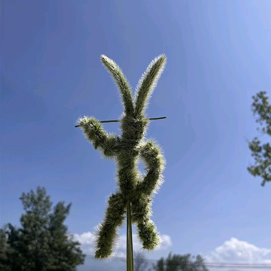 月关