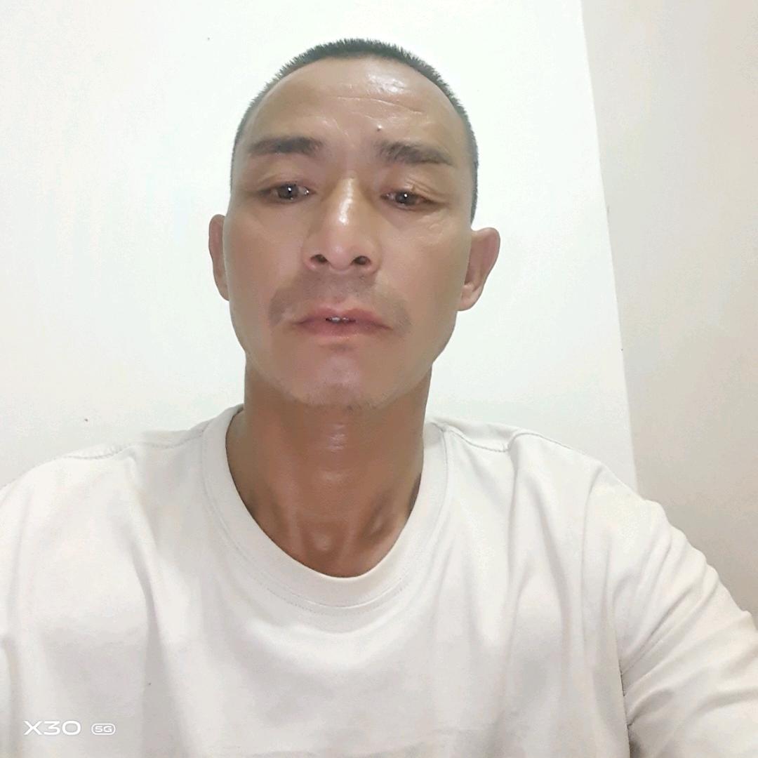 高兴走四方