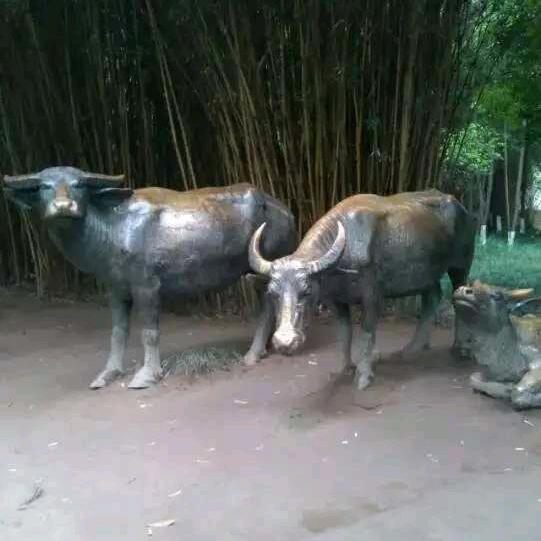 华林哥