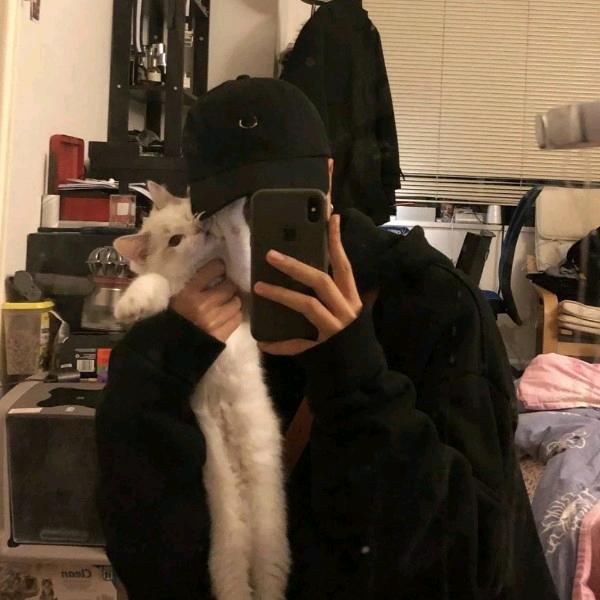 小懒猪起床了
