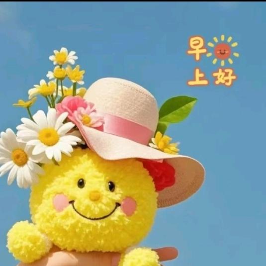 🤗，工地上的小姐姐，💤💤