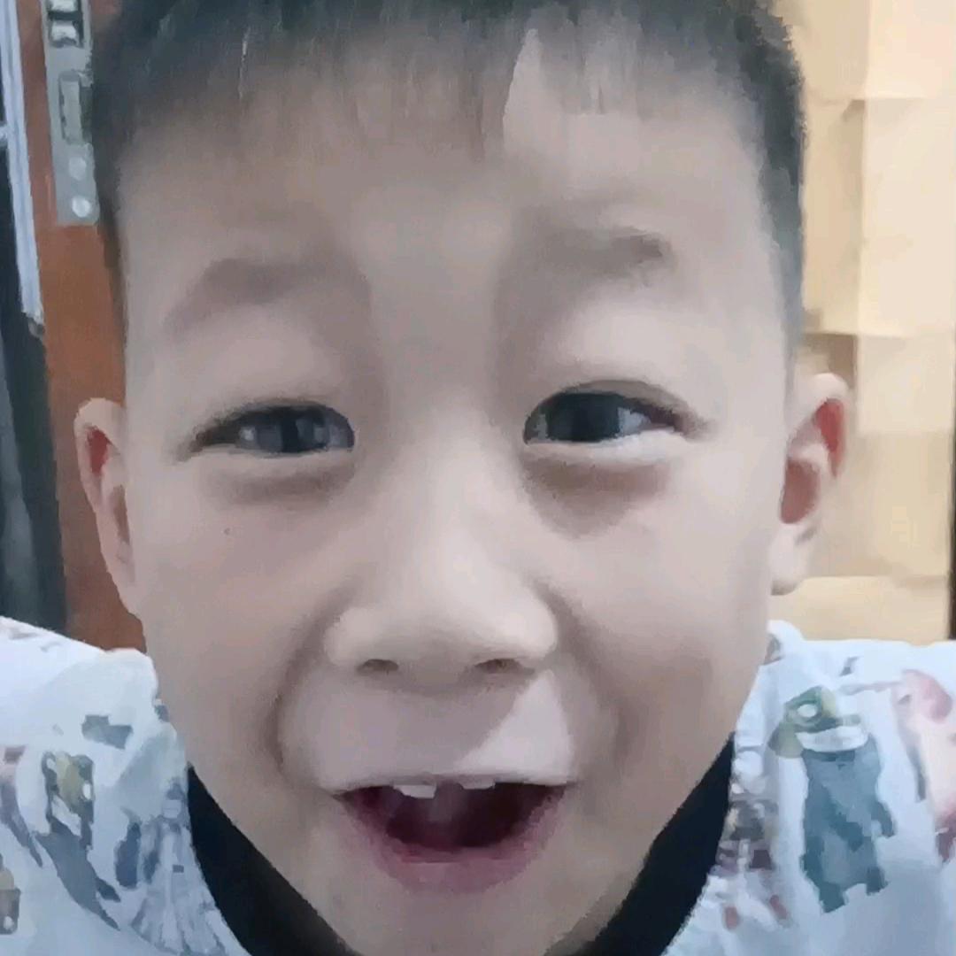 鸿鸿要听话