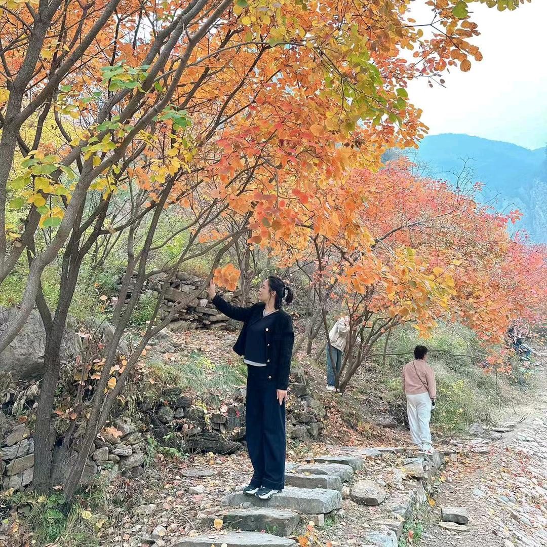 木子同
