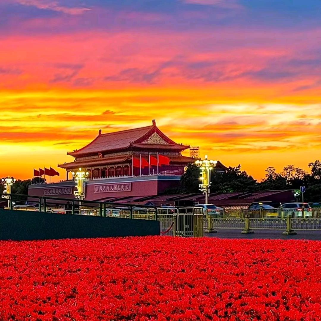 @中国🇨🇳油桶桶