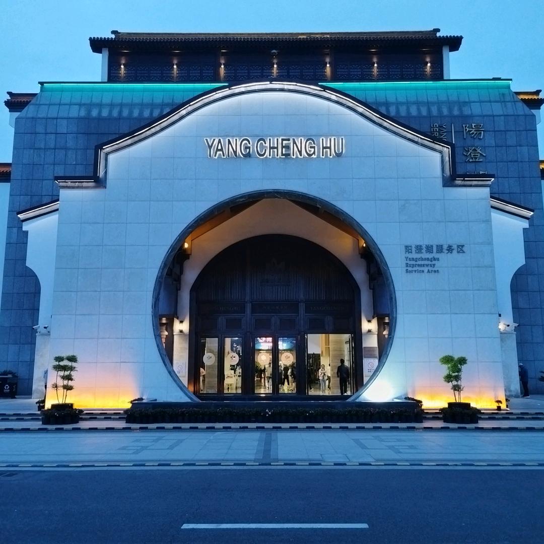 一天到晚游泳的鱼