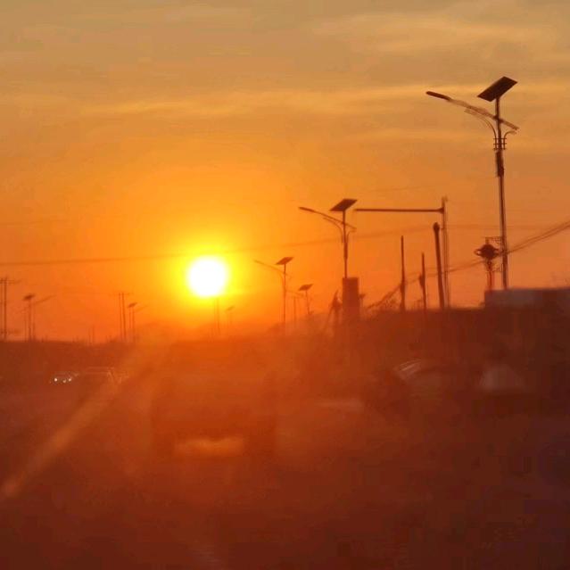 一只爱❤🌿的🐑