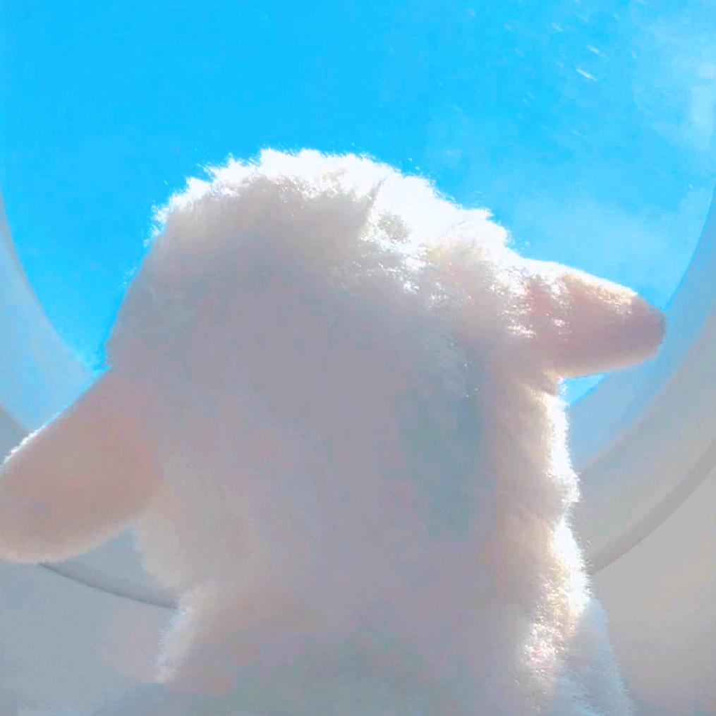 永无止境 博儿妹