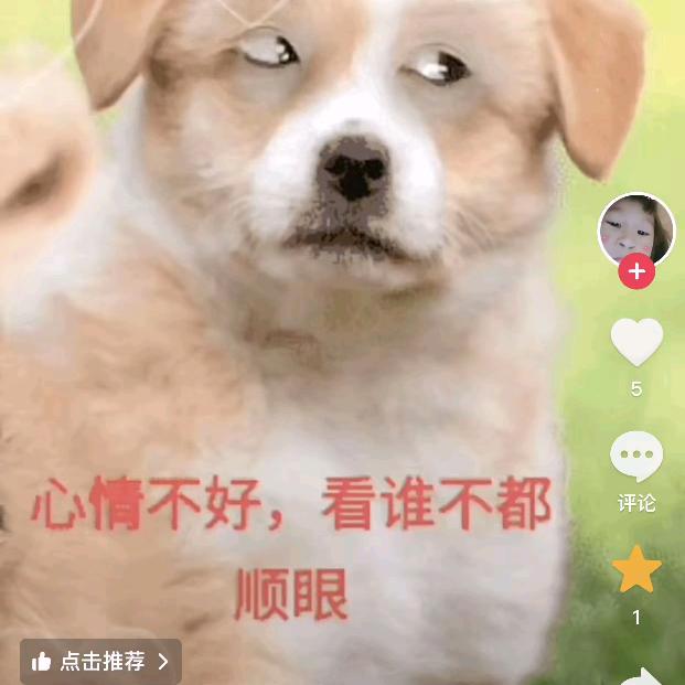 燕子