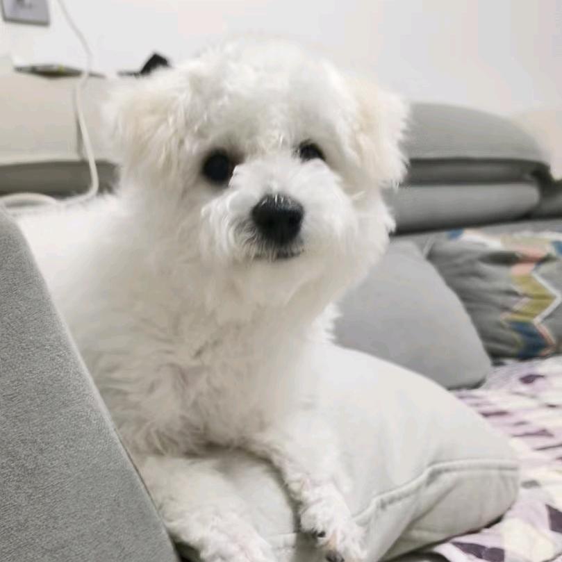 明天过后