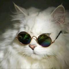 猪是地念着倒