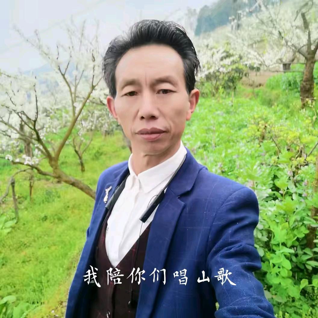 刘歌   山歌 2号  找搭档