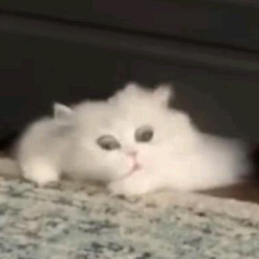 深海游惊