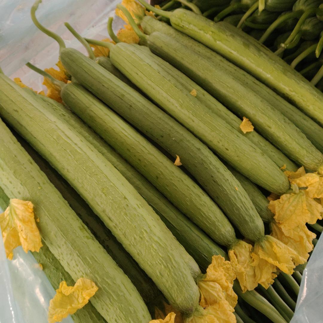 盛仁蔬菜公司~孟