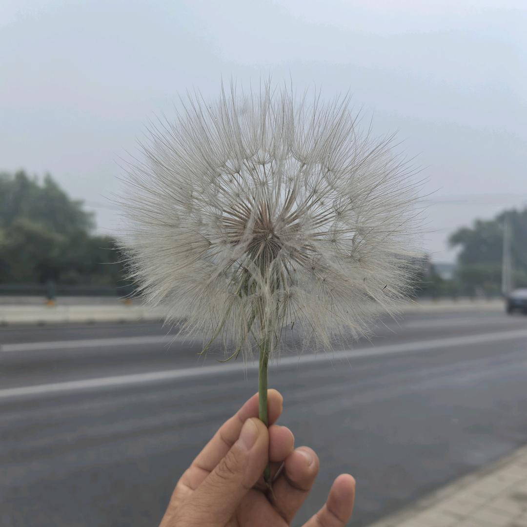 暖阳（听海）