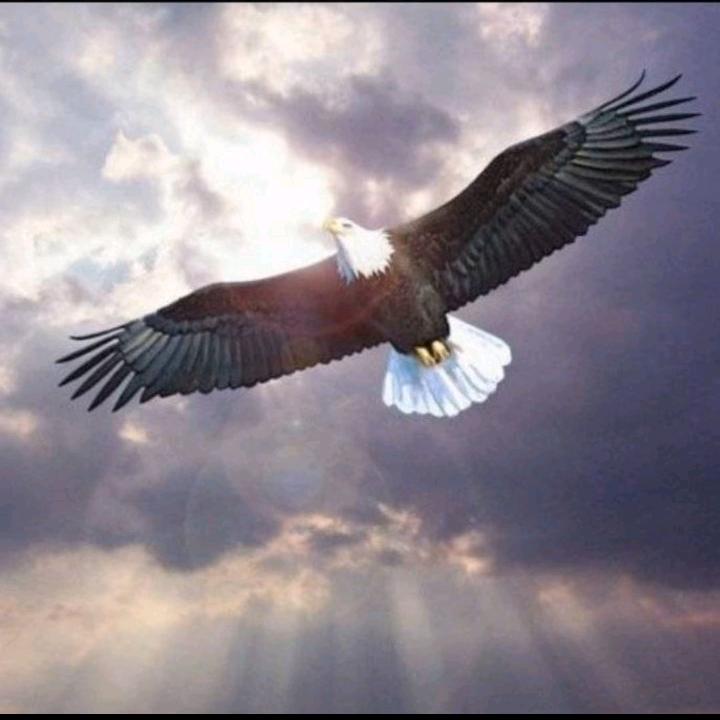 永嘉不锈钢装饰