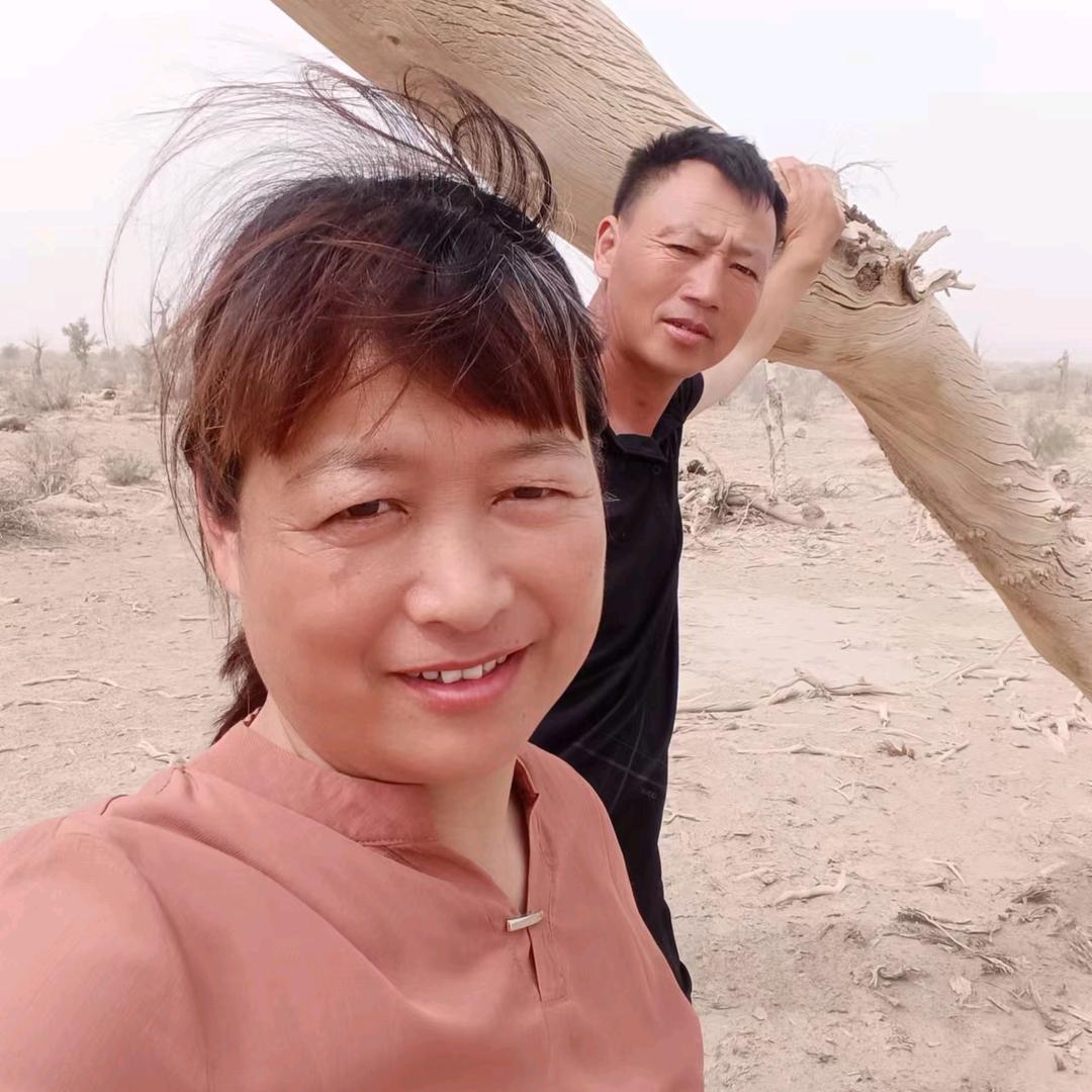 豫农人在疆
