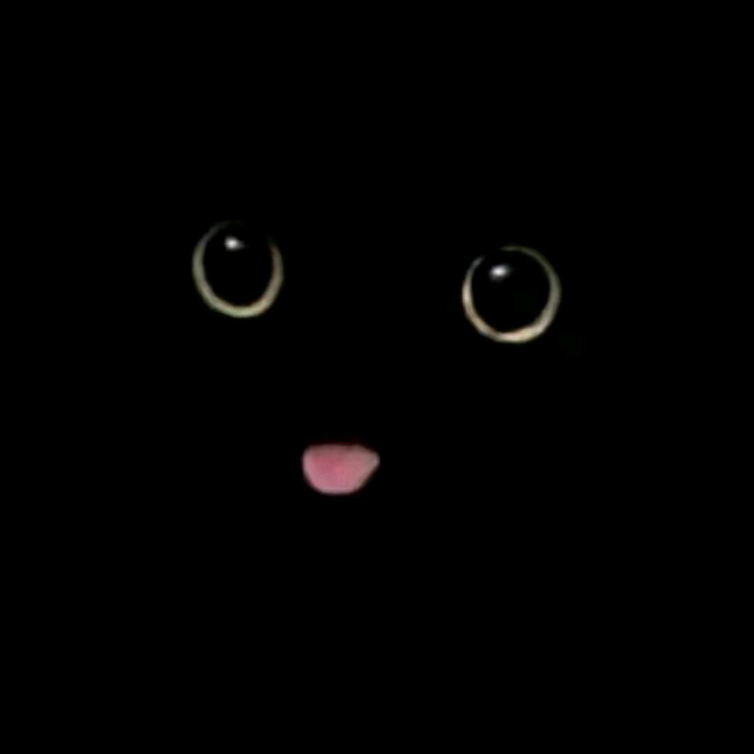 小茶