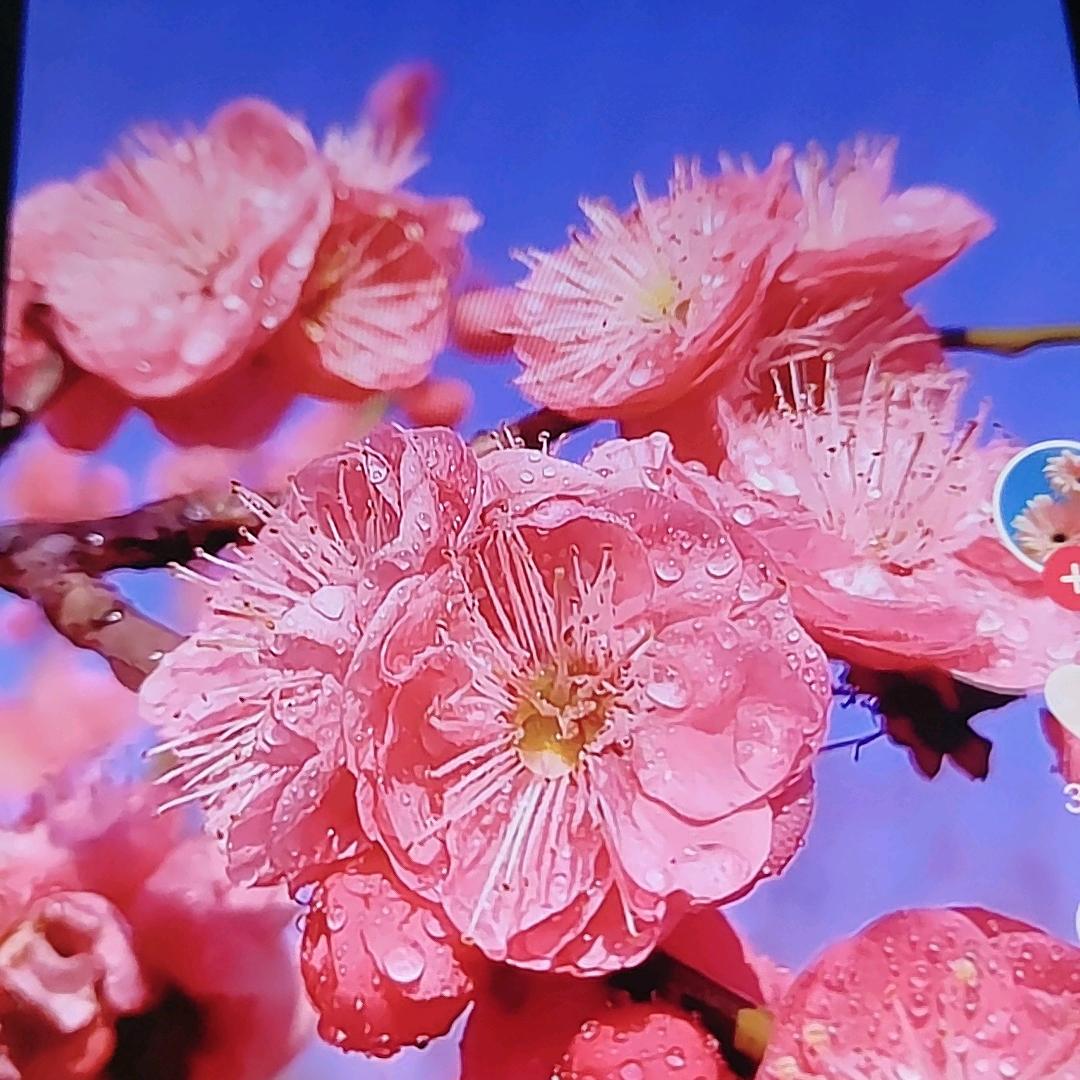 丘群百货