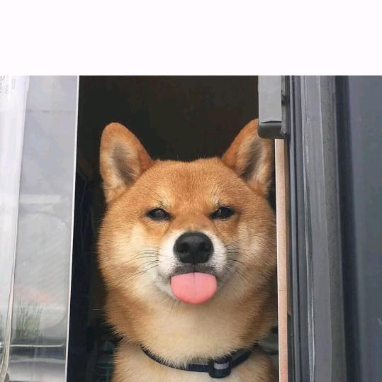 不当人（和平精英