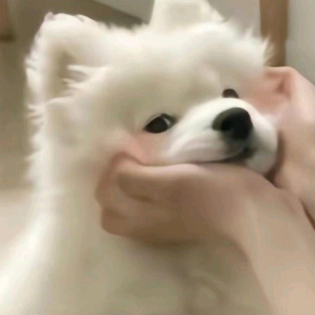 北城以念