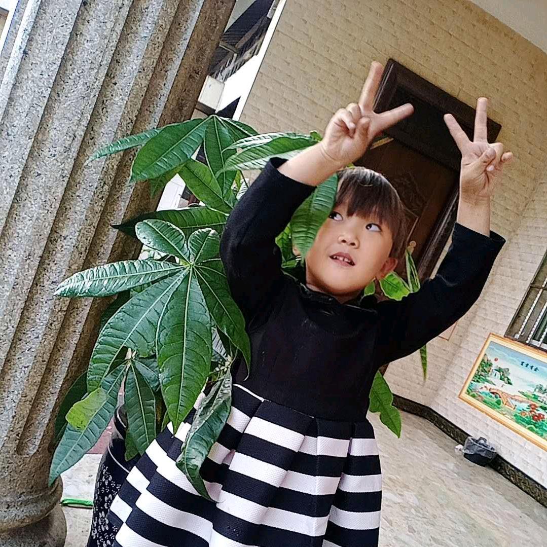 啊琴