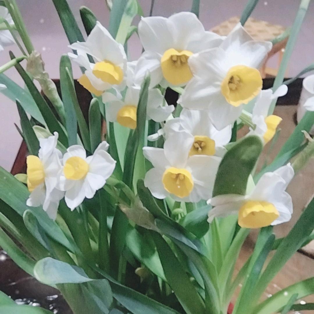 🌈思钱想厚🌈🌈🌈🌈