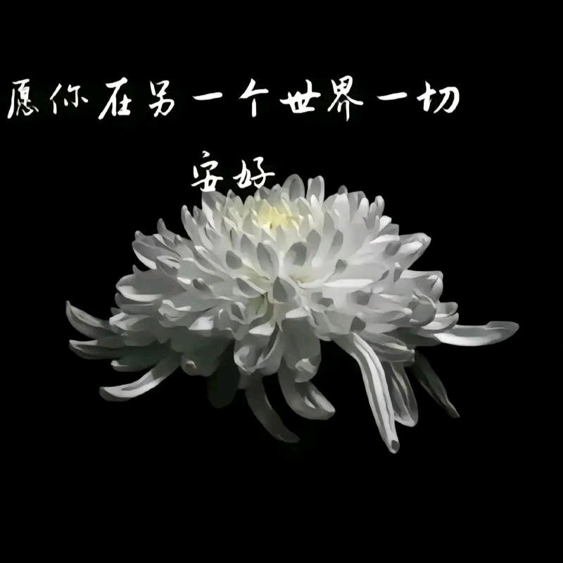 光芒万丈