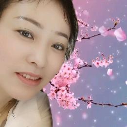 芹墨自媒体